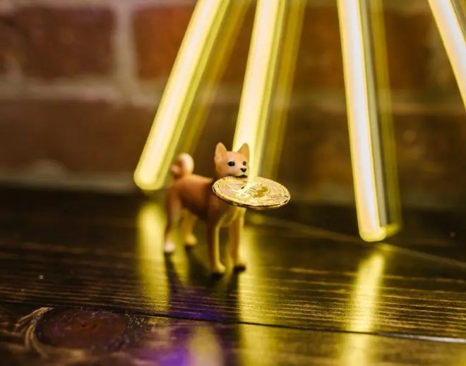 开云体育网页版登录入口-专家称SHIB将在年底冲破29.4美元，引发引发关注